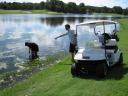 golf3.jpg